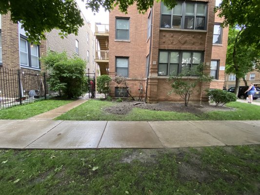 Chicago yard restored and cleaned up after A Better Way finished a sewer repair