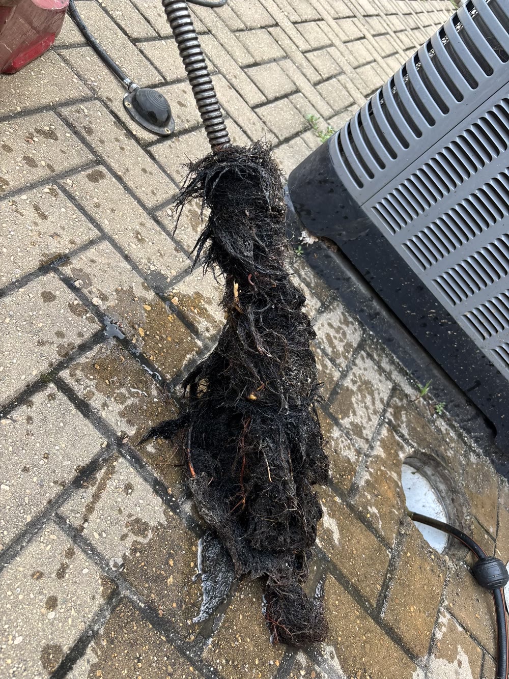 Chicago sewer rodding — heavy tree-root mass pulled out of a sewer line on the rodding cable
