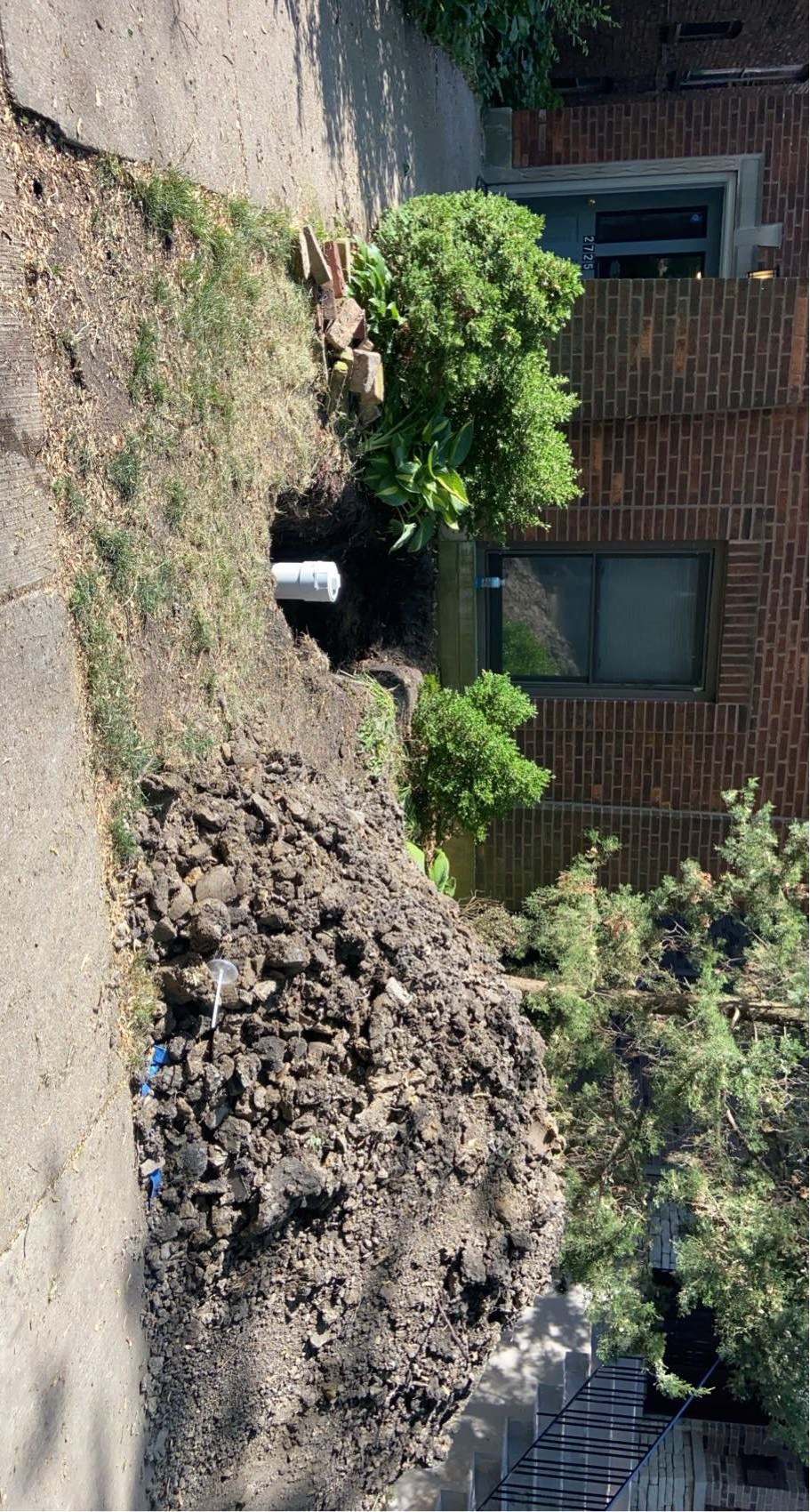 Chicago sewer cleanout install — front yard dug open next to a brick two-flat with a new PVC cleanout riser set in the trench